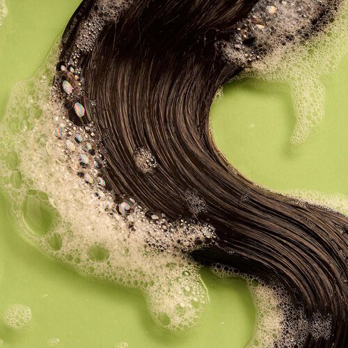 Argan Nourishing Shampoo & Conditioner image number null