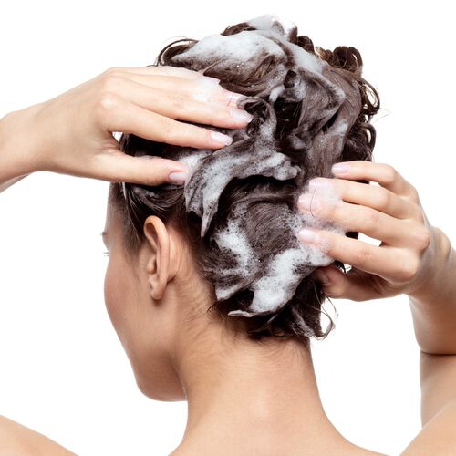 All Hair Types / Argan Nourishing Shampoo image number null