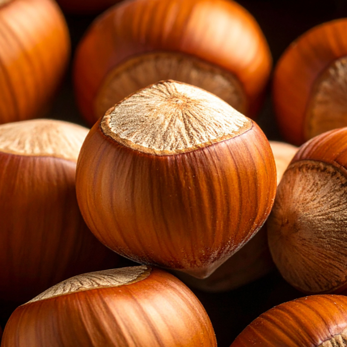 Hazelnut Oil