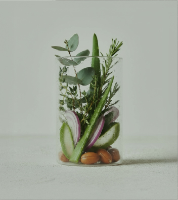 Rosemary Plant