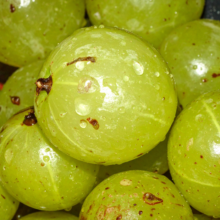 Amla