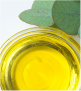 Eucalyptus Oil