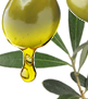 Olive Squalane