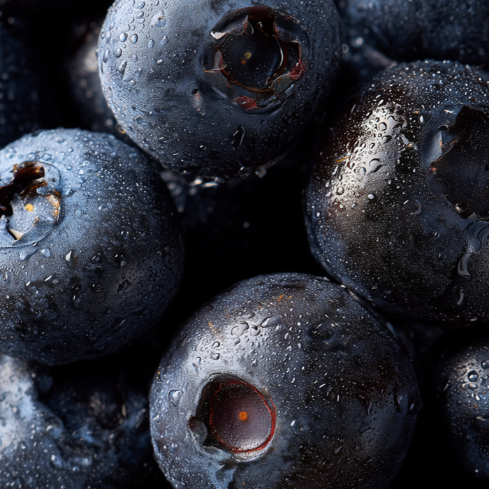 Bilberry Extract